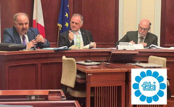 BCC, AUDIZIONE FABI AL SENATO